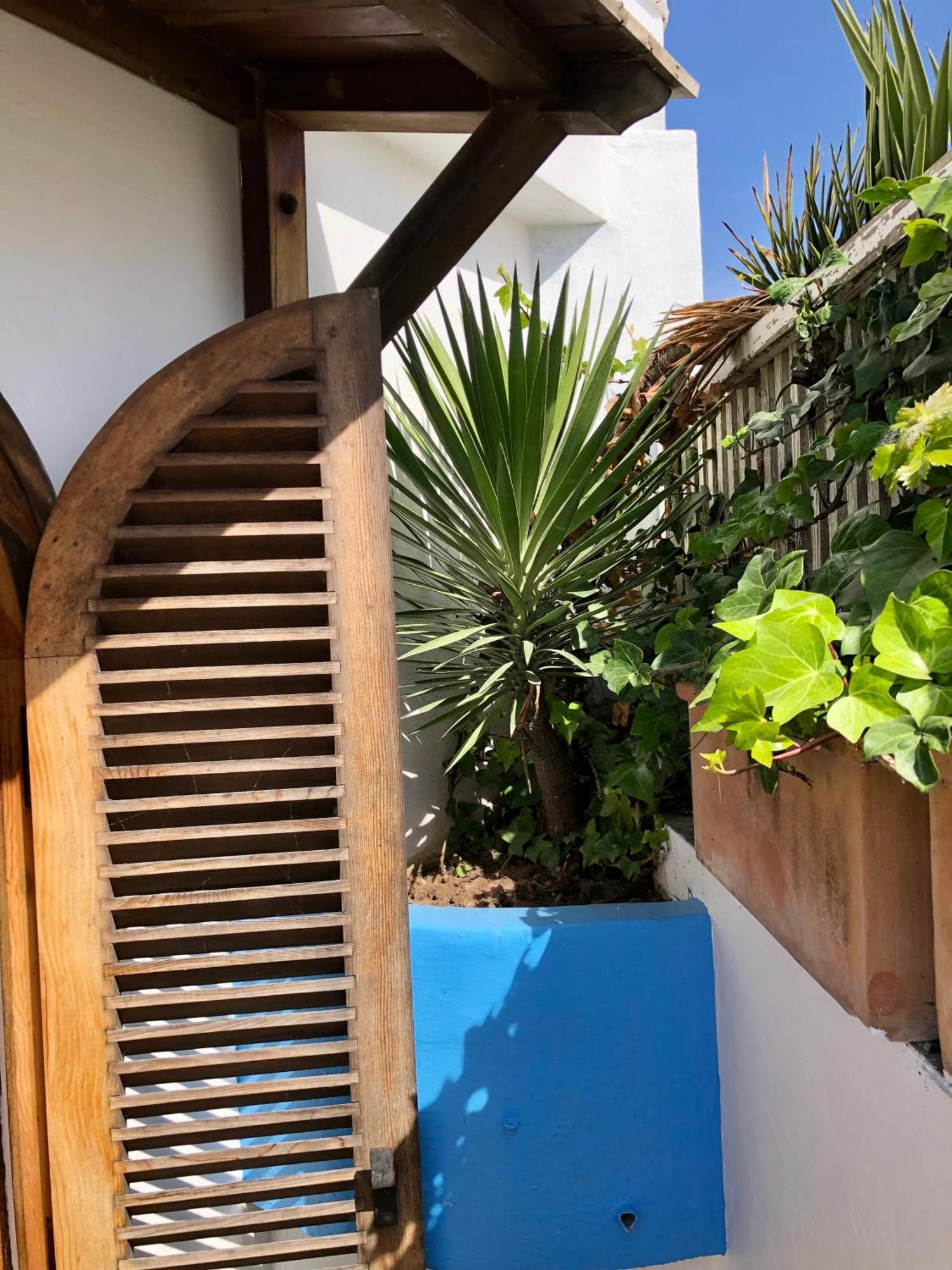 Oasis D'asilah