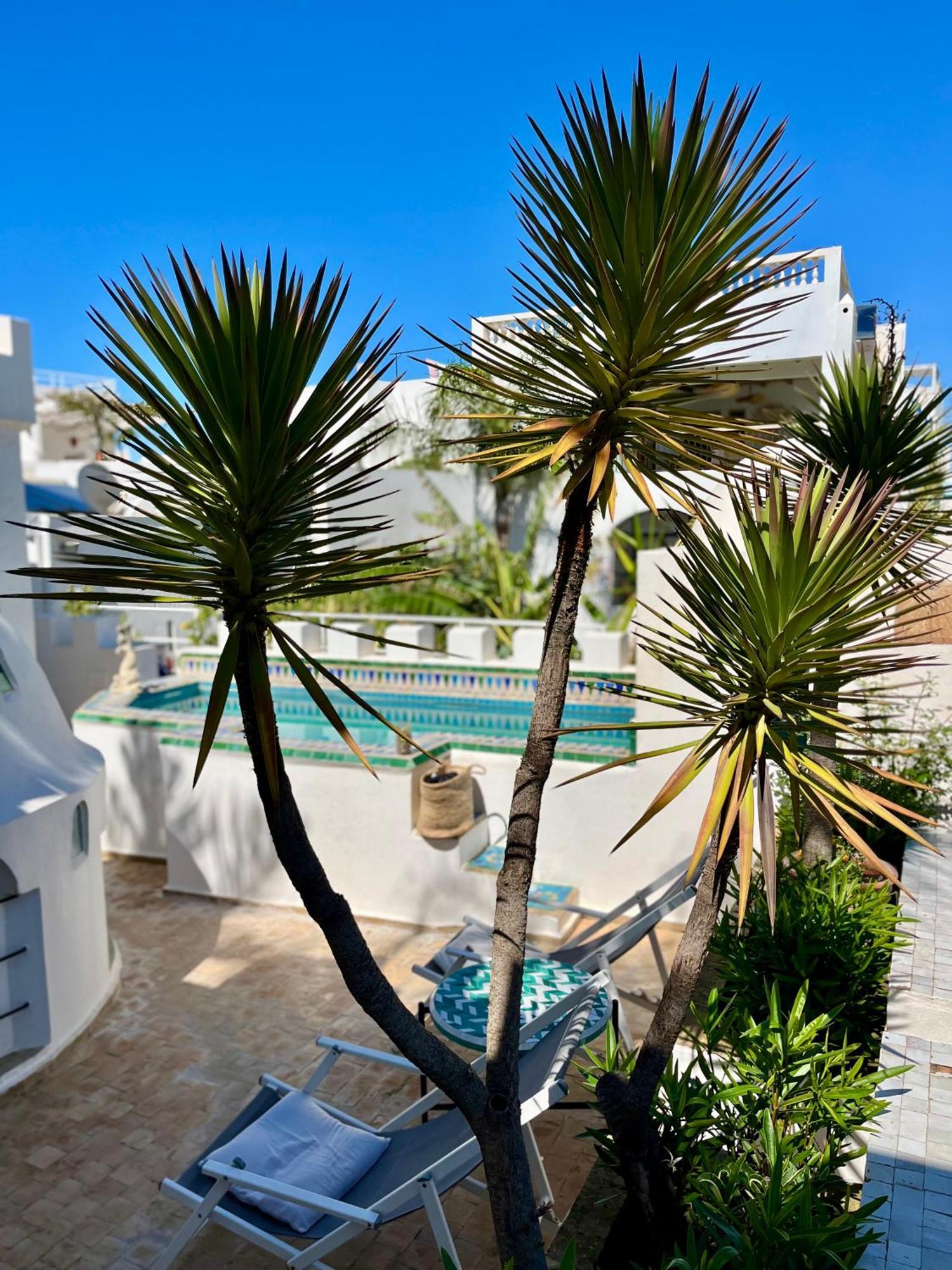 Guest house Oasis D'asilah *