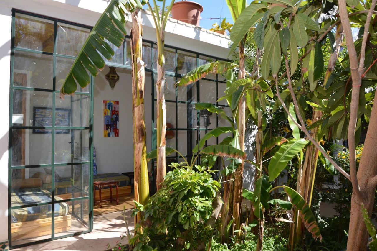 Oasis D'asilah Asilah