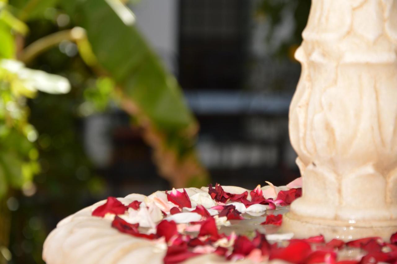 Guest house Oasis D'asilah Asilah